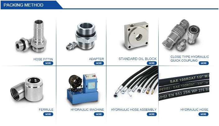 Hydraulic Flange 6000psi Flange Fitting